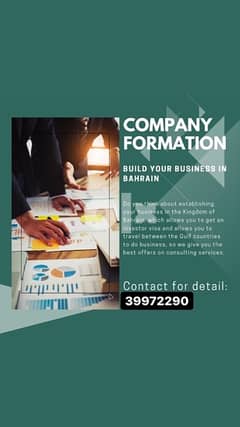 Company Formation and Legal Consultancy 0