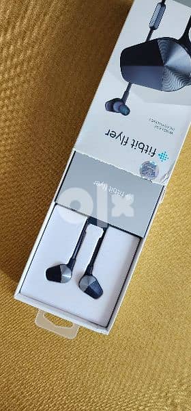 fitbit flyer headphones 0