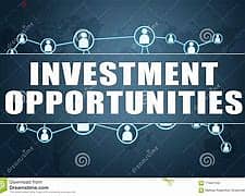 Private Investor Looking For A Partnership Investment 0