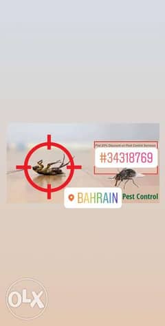 Reliable bahrain pest control services 0
