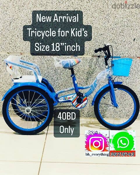 (36216143) New arrival Tricycle for kids size 18” inch (40BD Only) 0
