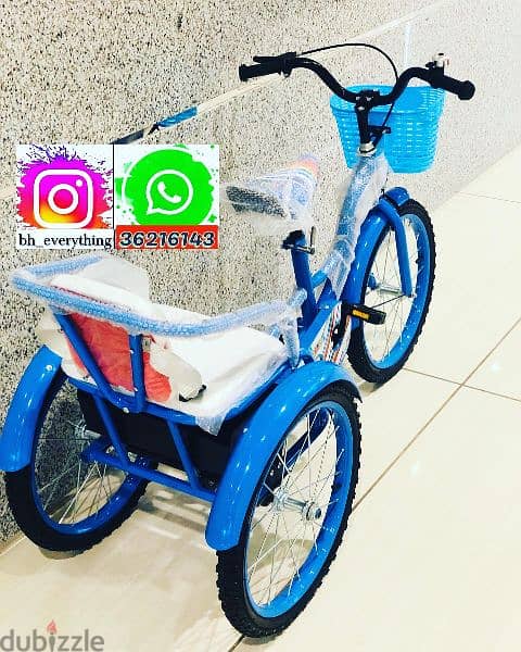 (36216143) New arrival Tricycle for kids size 18” inch (40BD Only) 2