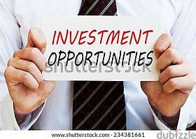 looking for global profitable investment project 0