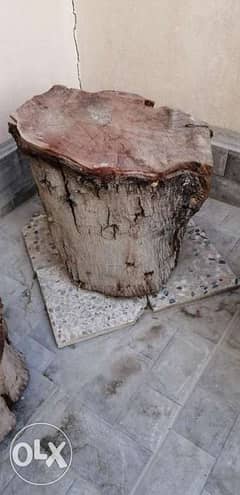For sale Natural strong wood trunk 0