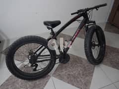 Heavy Bicycle for sale 0