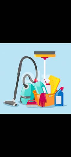 Cheap house cleaning service 0