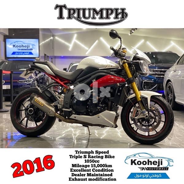 Triumph Speed Triple S Racing Bike - Motorcycles - 104686375