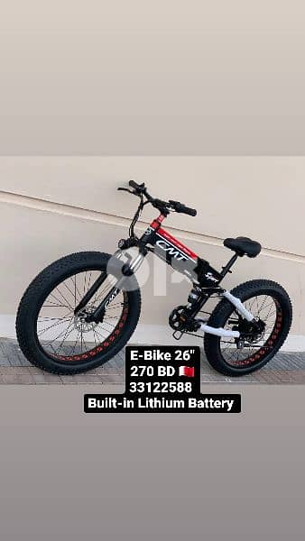 E-Bike