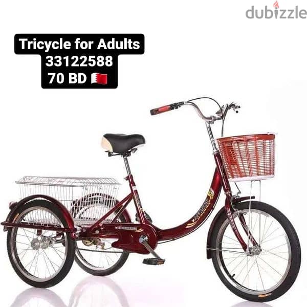 tricycle for kids and adults 9