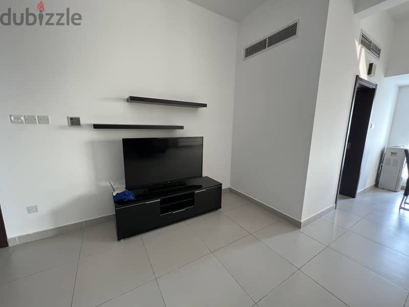 Spacious 2 Bedroom Fully Furnished Apartment 2