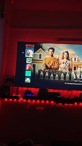 Netflix for 1 Year only 6 bd 1