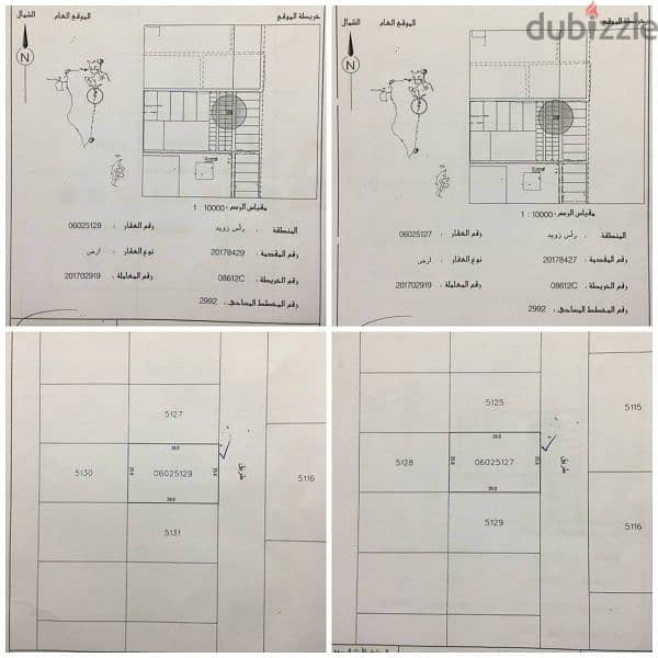 Two lands in Ras Zuwayed each 1000sqm for sale 0