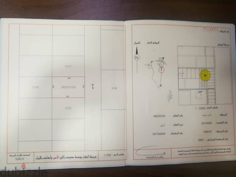 Two lands in Ras Zuwayed each 1000sqm for sale 1