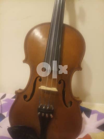 Violin