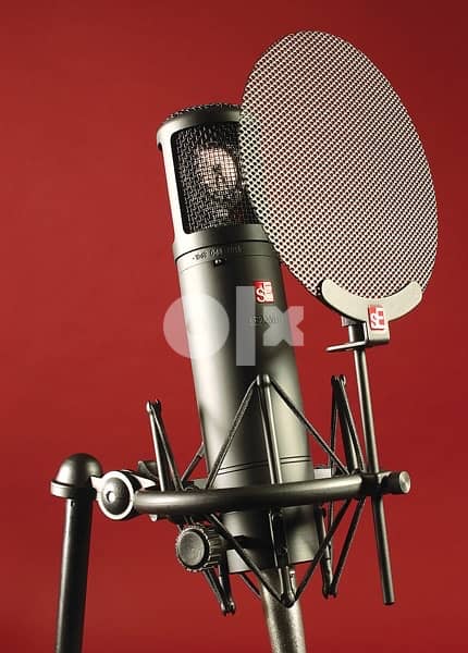 SE2200 professional studio mic 2