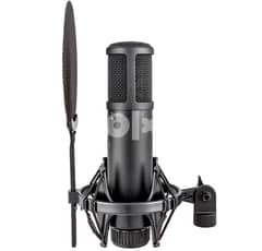 SE2200 professional studio mic 0