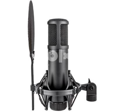 SE2200 professional studio mic