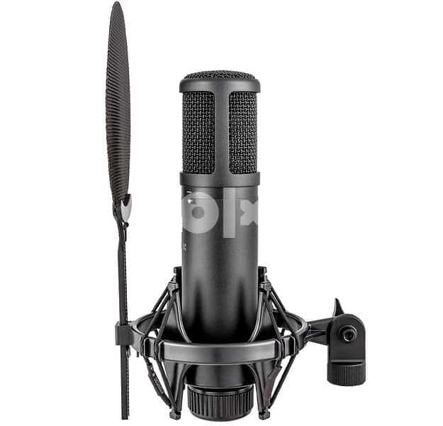 SE2200 professional studio mic 0