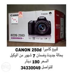 Canon 250d 0