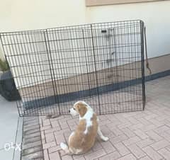 dog pen with gate for large dogs 0