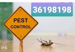 Pest control with Guarantee 0