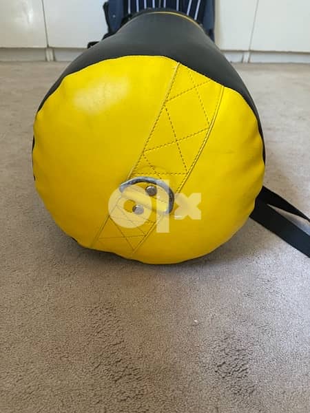 Golds Gym punching bag 3