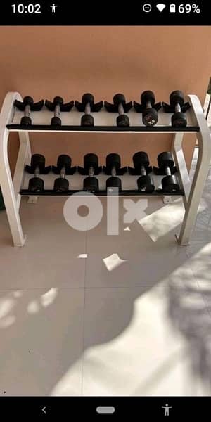 cybex dumbbell rack 0