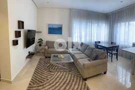 Luxury 2 bed fully furnished apartment 0
