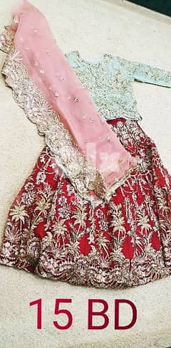 Pakistani Party wear (Dresses) 0