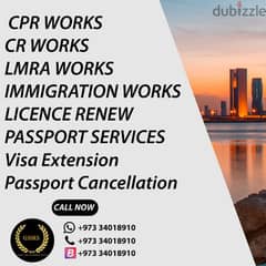 CR,CPR,VISA services in best price 0