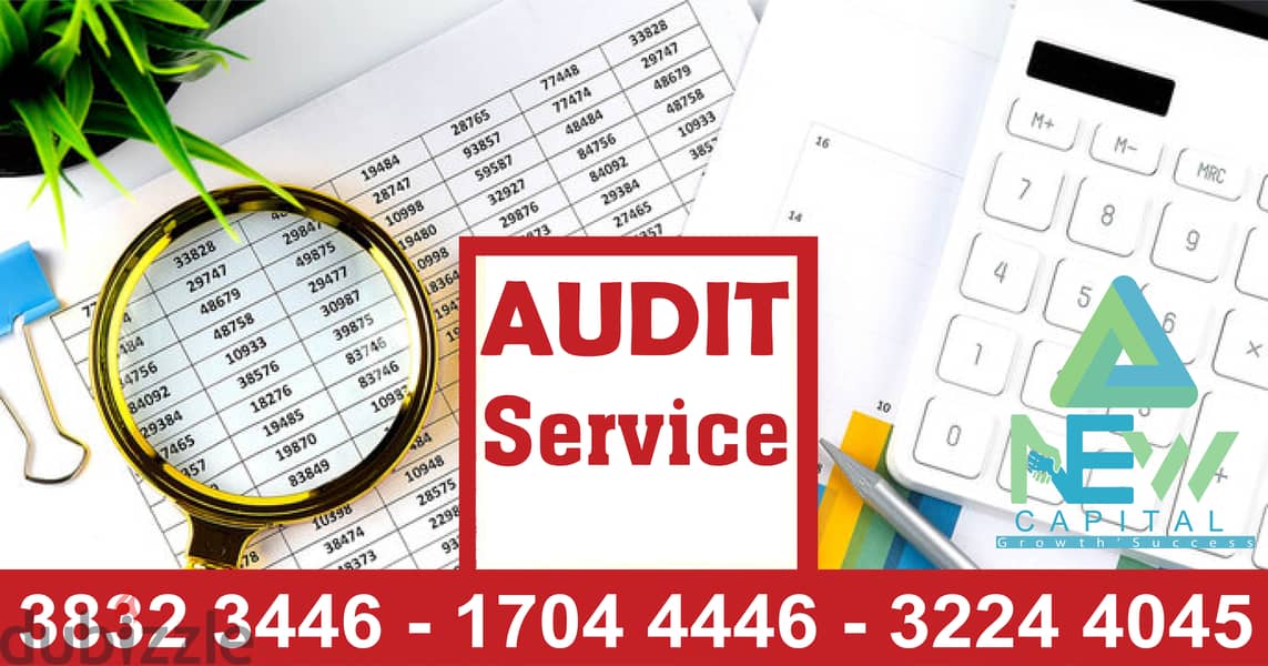 Audit Systems Support Services 1