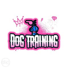 Dog training available تدريب للكلاب 0