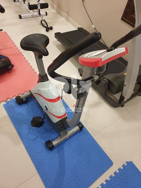 upright bike magnetic 1