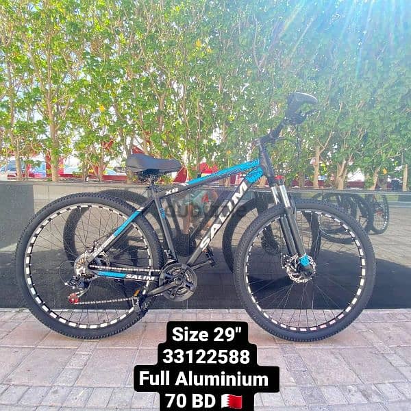 full Aluminium Bike 12