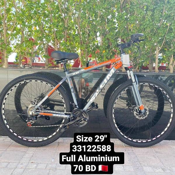 full Aluminium Bike 17