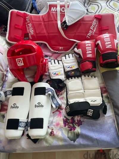 taekwondo kit and boxing gloves for kids