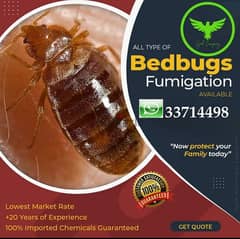 Garanteed service cocroches,bedbugs,Mosquito,rats 0
