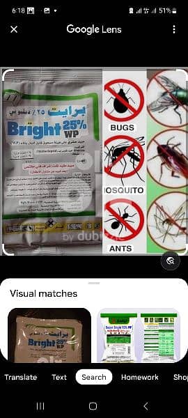 cockroach and bed bugs killer