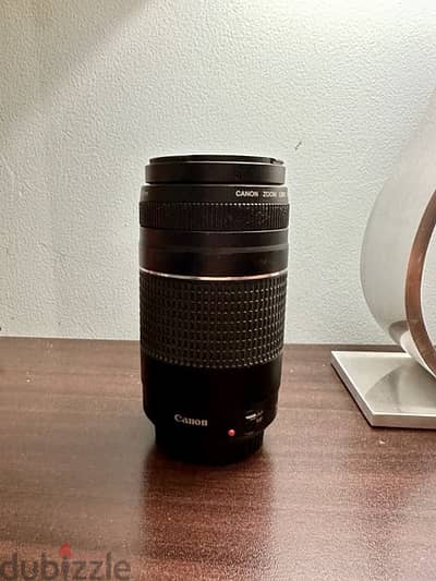 Canon 75-300mm Lens & Lens Protector.