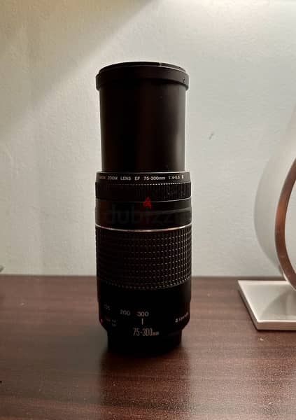 Canon 75-300mm Lens & Lens Protector. 1