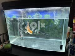 Fish Tank for Sale - (With a Gold fish and accessories ) 0