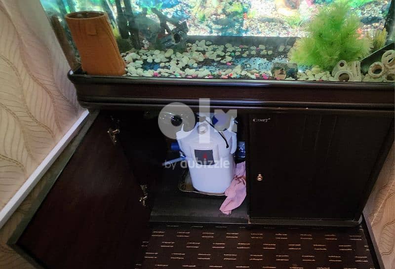 Aquarium with parrot fish for sale 4