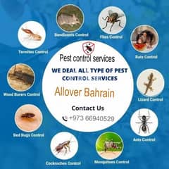 pest control services & sofa cleaning 0