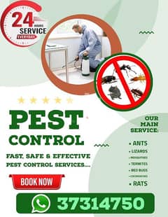 pest control service 10 bd offer just 3 days 37314750 0