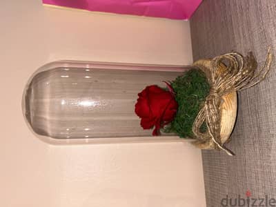 Forever rose in jar