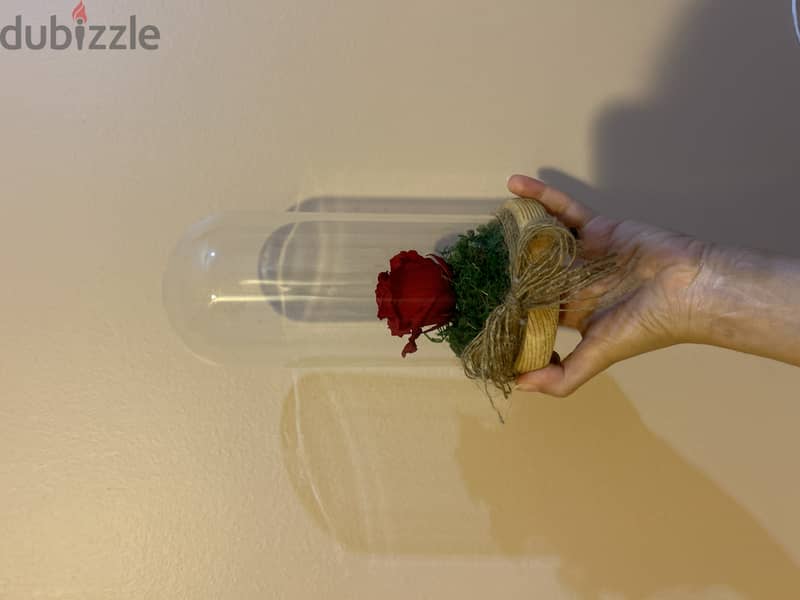 Forever rose in jar 2