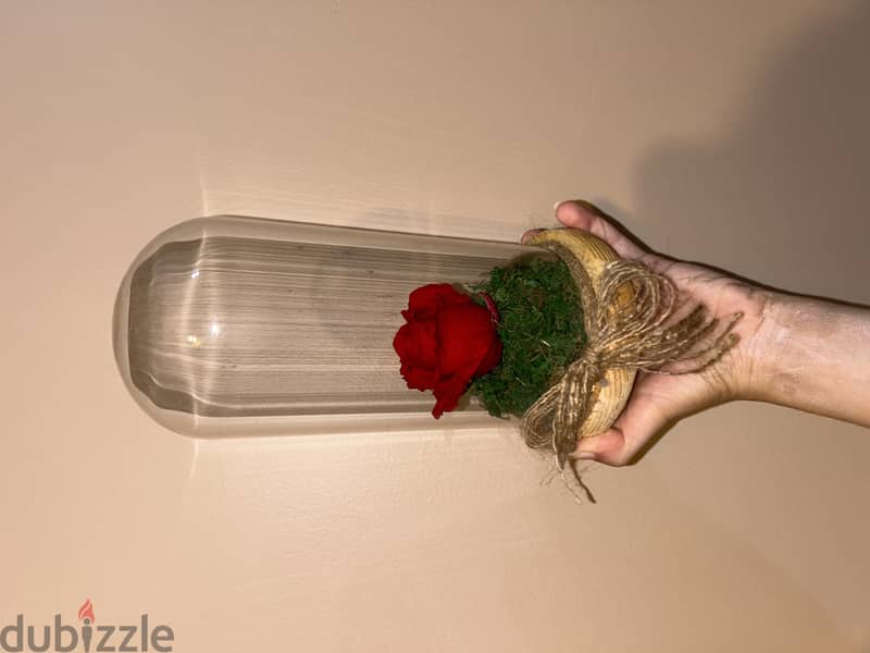 Forever rose in jar 3