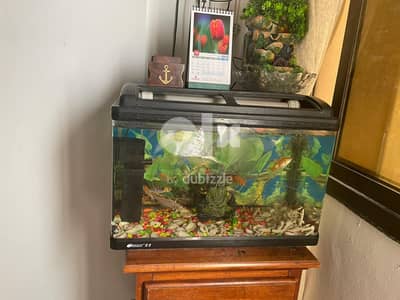 fish tank