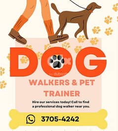 Professional Dog Walkers & Trainer