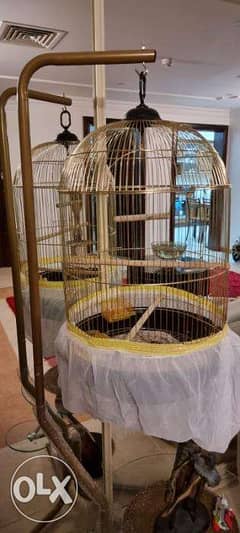 Birds Cage with stand 0